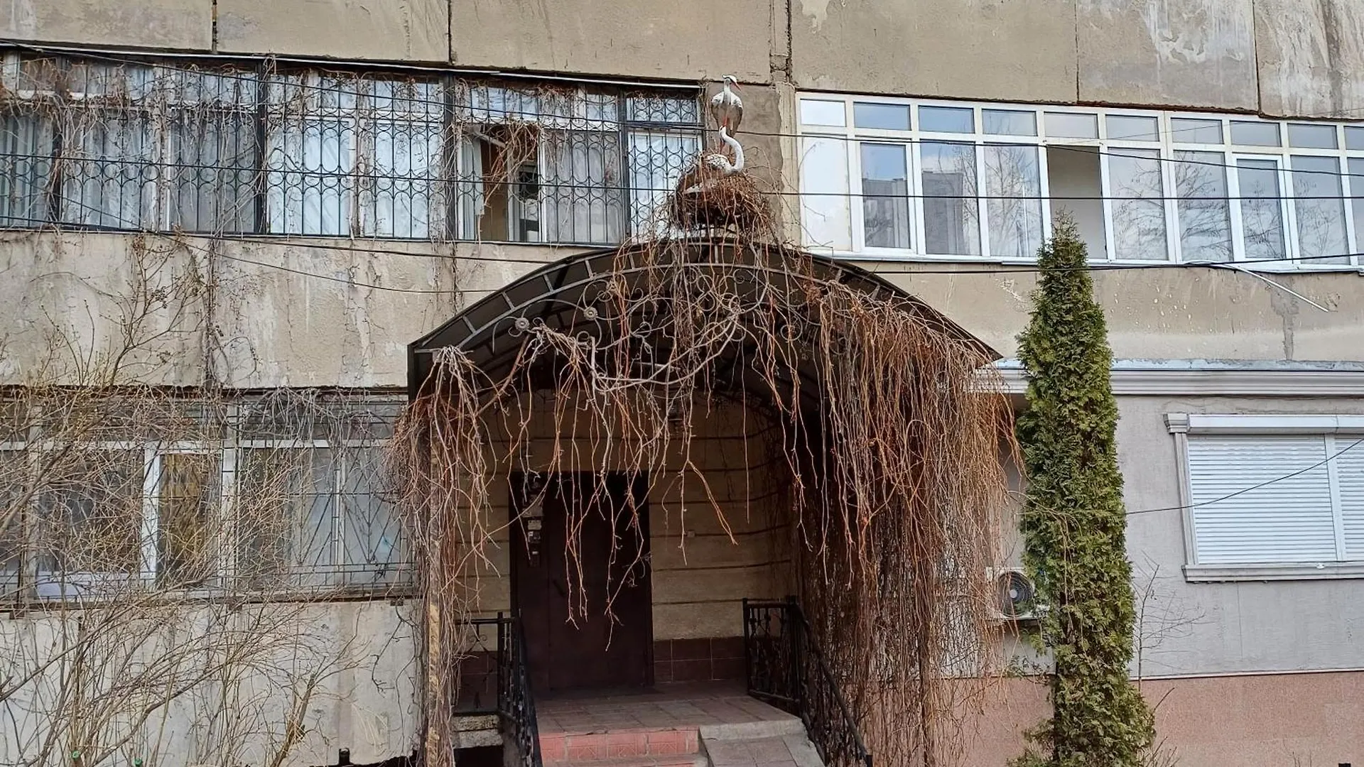 Apartment Апартаменты Рядом С Dostyk Plaza В Микрорайоне Самал-2 Almaty